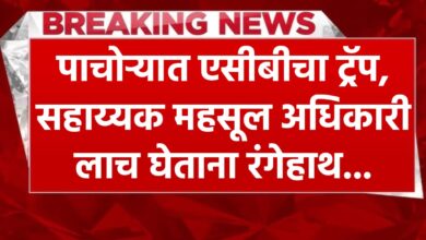 एसीबीची कारवाई, पाचोऱ्यातील सहाय्यक महसूल अधिकारी लाच स्वीकारताना रंगेहात अटक