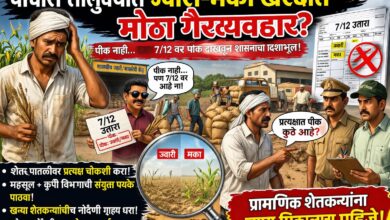 पाचोऱ्यात भरडधान्य ऑनलाईन खरेदी गैरव्यवहाराची शक्यता : व्यापारी तुपाशी तर शेतकरी उपाशी...