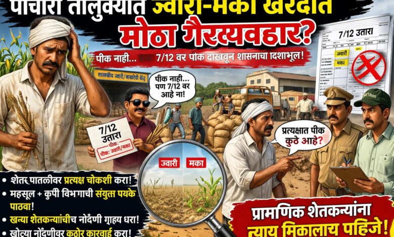 पाचोऱ्यात भरडधान्य ऑनलाईन खरेदी गैरव्यवहाराची शक्यता : व्यापारी तुपाशी तर शेतकरी उपाशी...